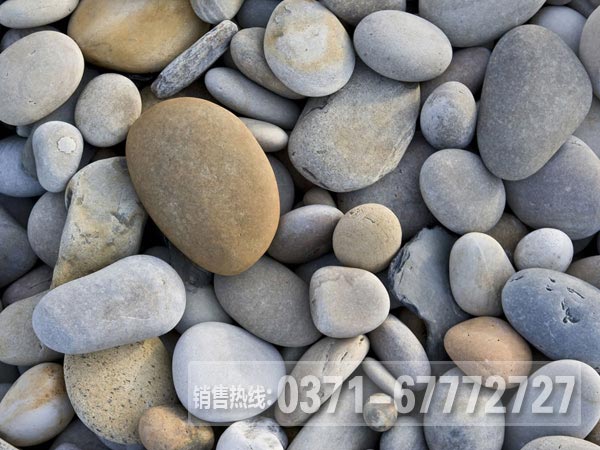 鵝卵石 鵝卵石